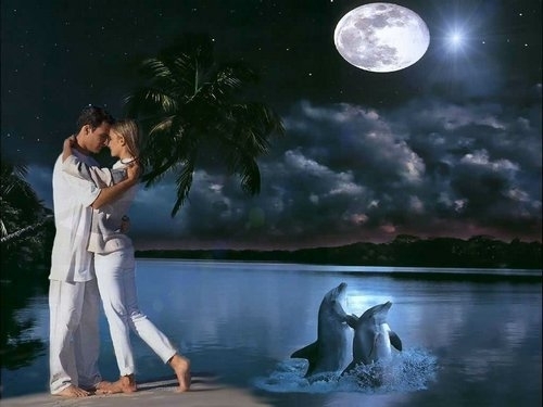 .  Ͻ 143100by1sza8roy1szhxk