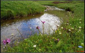 꼾ģɽɣ ,꼾,ɽ, Ͻ 095404vtdgjhp02uh4pchu