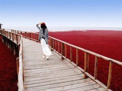 ߢһƬ˼飬Ⱦʱ һƬ,˼,ʱ ִʫ 101625kd166stugzs4t9hd