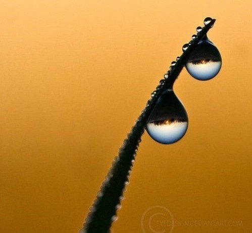 ᣬһ ,һ ִʫ 151610ufnasbg3zwwpl5da