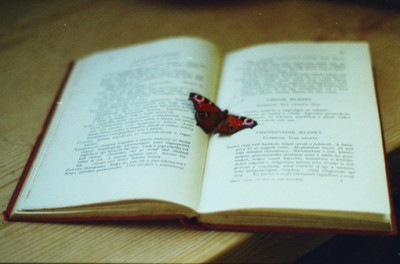 ҵ֣ǧ ,,ҵ,, ִʫ 191749sxf4y11ppkgbfqhf