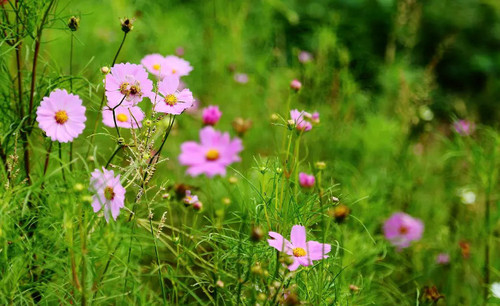 ϧԡİϻ İϻ,, ɢ 213318q7sb59b9pzmp5yz9