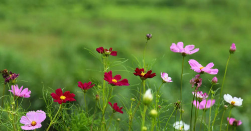 ϧԡİϻ İϻ,, ɢ 213345ujdb95vc28bbz9jj