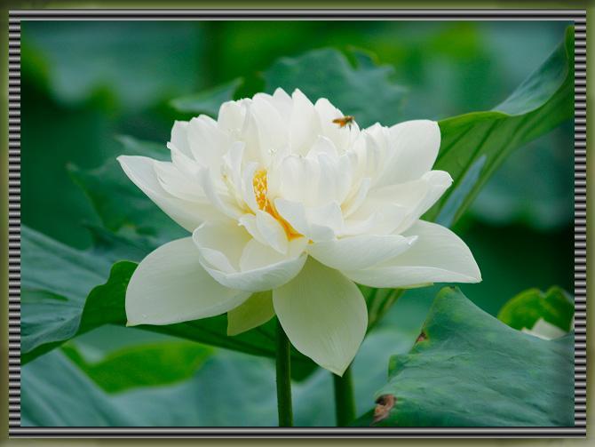 Һ , ִʫ 112117by3d33on3yng1y2a