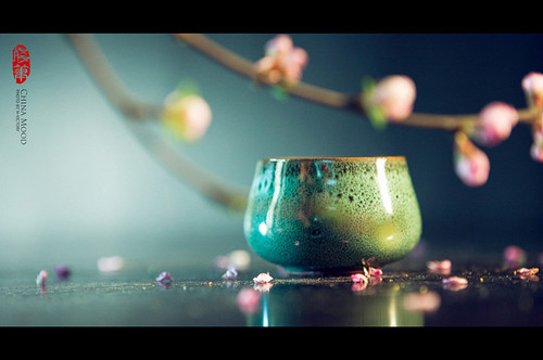   ɢ 221334wu9c7oc9qfodncdn