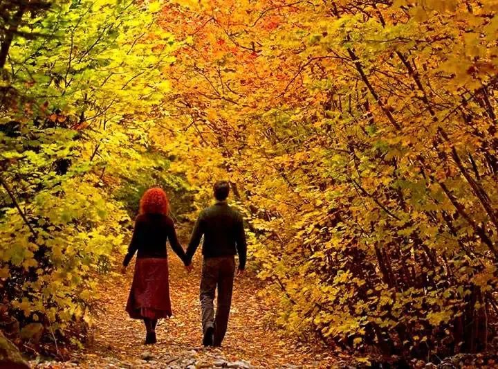 Ҷ ,˵,, ִʫ 202551ssf9f1q3e4kks423