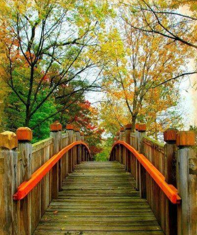 ֮ ֮ ִʫ 162926bkd1uok825kfklw5