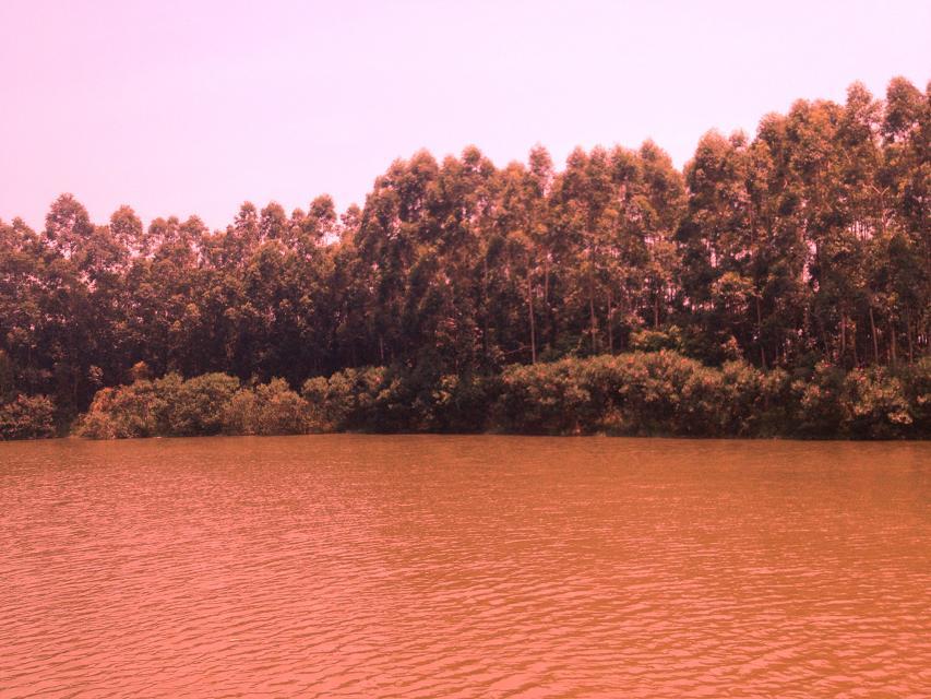 ǧ ǧ ִʫ 093653bhpqiyc8w11p1n1w