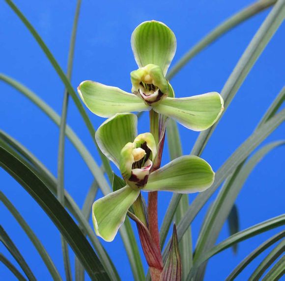 ҽ ,ҽ  100906kt9qz9z61zp6wqyk