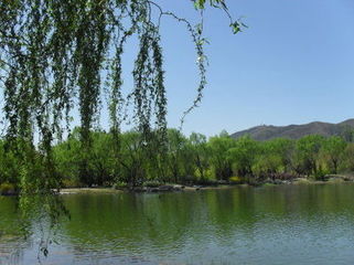 ﾰ续 ɽ,廨ɽ,2014,,ٺ ִʫ 102939tazk0uu7uz48nzy0