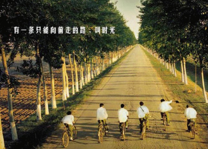 ҵ ҵ ִʫ 010556fis2saxe6sf4o1s4