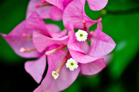  , ɢ 224729pt6dccrqp6zaht6e