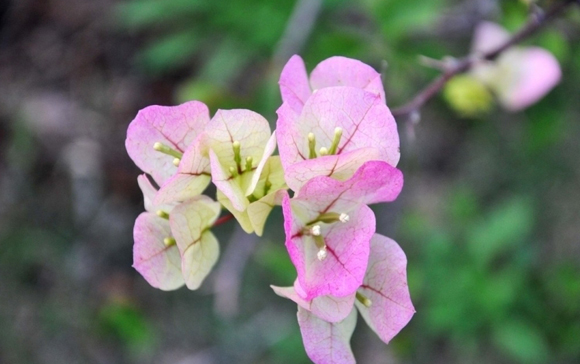  , ɢ 224739l4a7c40z0yj3c96z