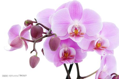       Ͻ 214657hrmr34g82r7fi3iz