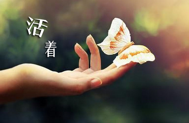   /з/NJСĬ ,, ѧ 201810u775d88czxk5i5e5