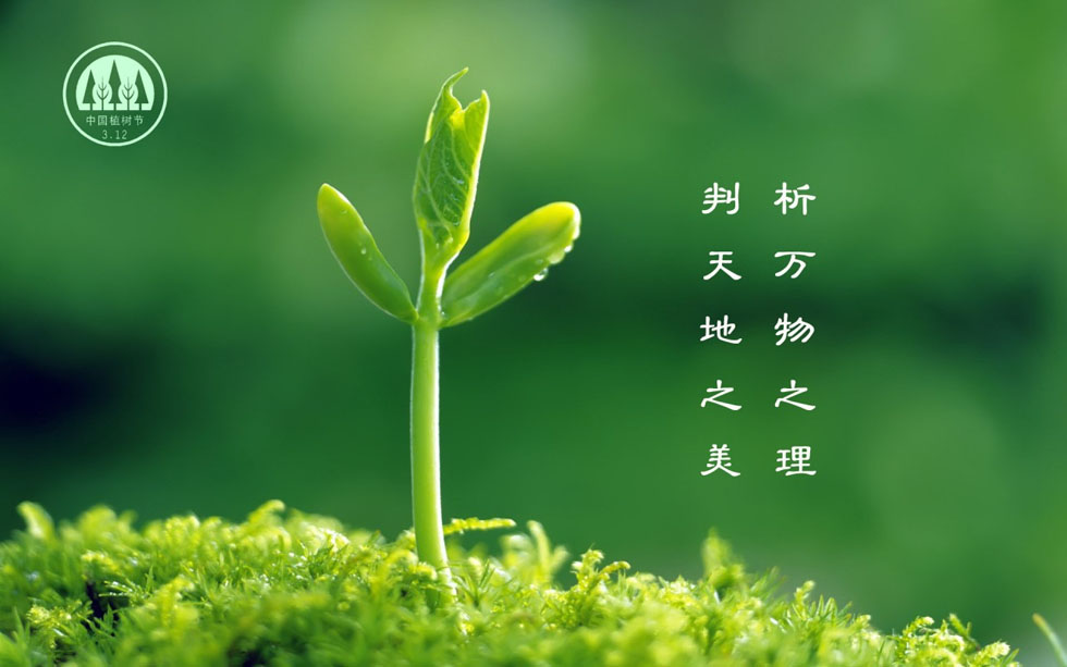 ɫ  ִʫ 211400tipaipwy63a33yxb