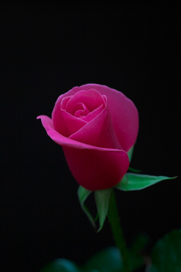   ɢ 111023tmalucw3999btx9u