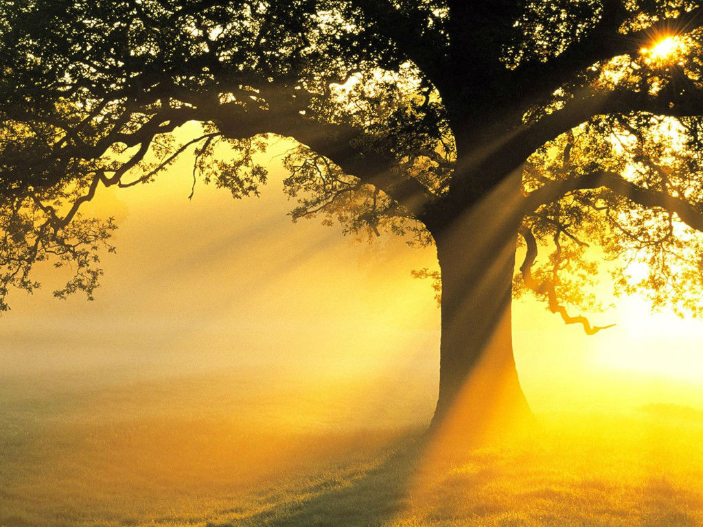 գ к,һŮ,,С, ִʫ 001945uqqcwsnaxxqgne2n