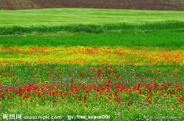 С С ɢ 094016ij7lgb49g4qiuy8y