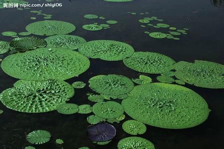 Ƽûм û ִʫ 185240oxwdjwxpr5pwd2ms