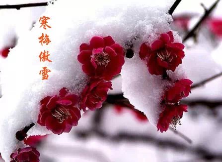  •÷˼ Ұ,, Ͻ 124835rqgnoy8mzzf5dmco