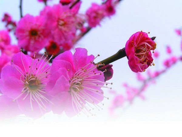  •÷˼ Ұ,, Ͻ 124918xvonwsaj1si8ndai