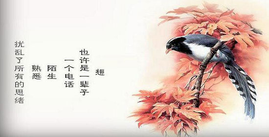 㣬֪𣿣壩 ֪,֪ ɢ 123202cwy2bbkuguiy9yhy