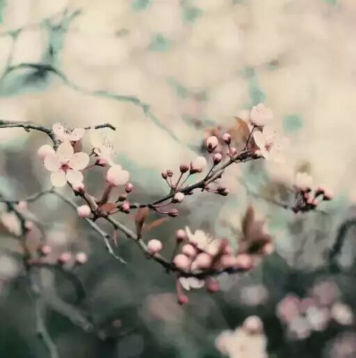 ˼ ˼ Ͻ 204048ujva7gc8xy147tt2