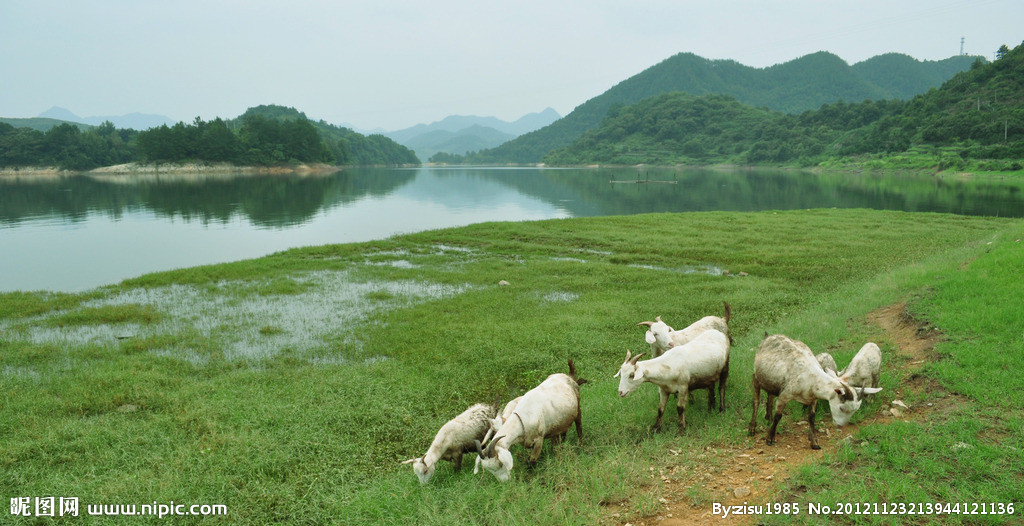 ĳ ,  133117ihvjo1p4oa58gh1v