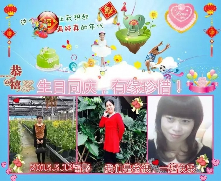 »Ϊʮͬףʣ ,ʮ,,,ף ɢ 125331koqh9we3brtlwiqg