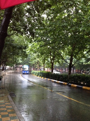 ҹȥн/趼¥ ,,,н ɢ 224518cc5ykzrg7rpzt7c7