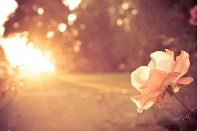 ҹԼԿͻǿ 趼¥ Լ,Կ,ͻ,ǿ  163947dctddrdmyzmrr3ya