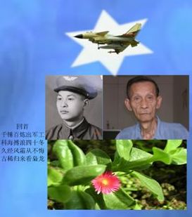 ʫ   /ɢ ,,ɢ Ͻ 094849fkz1kiju4jyuurck