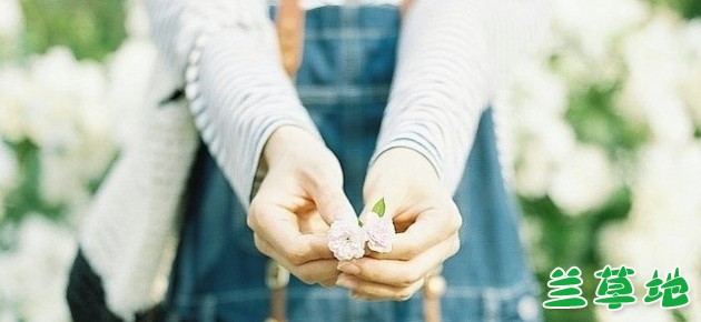 ˣһصһף һ,ص,,һ ִʫ 233856edhvvsoiudq0dvop