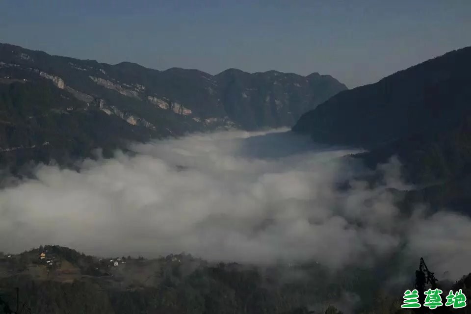 ʫʰ---Ȼ۷֮ĥƺ ʫ,Ȼ,, Ͻ 214540dzg59s5g59wj8j2w