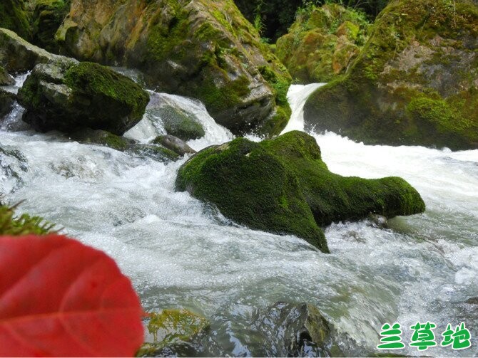 ʫʰ---Ȼ۷֮ĥƺ ʫ,Ȼ,, Ͻ 214650spn6kkrlz6jsek3z