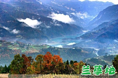 ʫʰ---Ȼ۷֮ĥƺ ʫ,Ȼ,, Ͻ 214922aaffx92a9eggxdzn