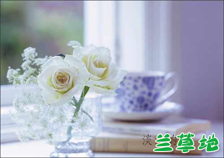 ŷɵ˼Ŵ컬 ʫ ŷ,˼,,, ִʫ 225254wdppw8bxpdaepwhv