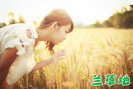   ִʫ 093917zpl9690e0nkli9r6