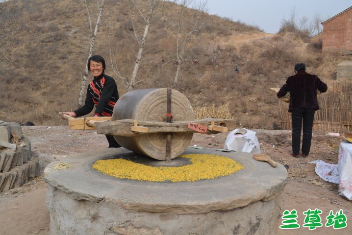 ʳӹǰ ʳӹ,ǰ ɢ 194250nvk424hhovd93yfi