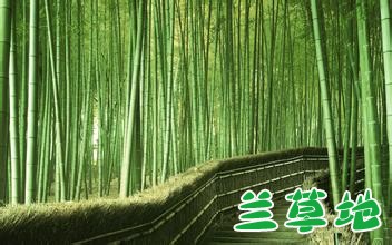 ļ԰ ļ ɢ 222203md2qy3ldo9dbtoo2