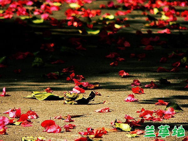   ɢ 223321vsfasa9j8zfgfkfk