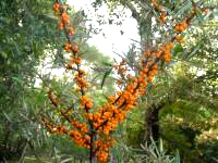 ɳ ɳ ִʫ 114125ymikkuhhk9izvvi9