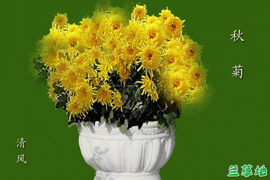   ɢ 092243pf89o6d68hovir39