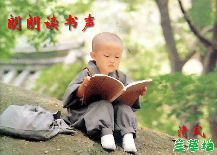 ʶ  ɢ 122147shn2l99ylin3j69p