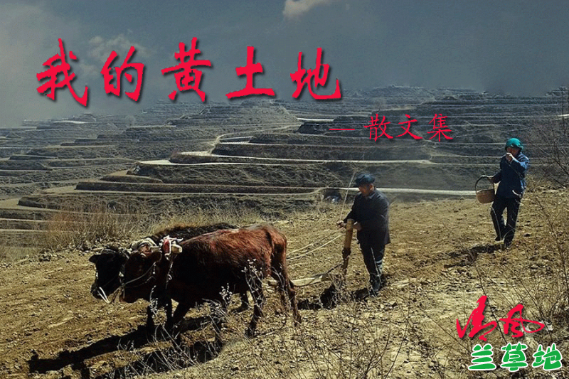 Ļغ  ŨŨ ,ŨŨ, ɢ 200138iv8siffn1n6836es