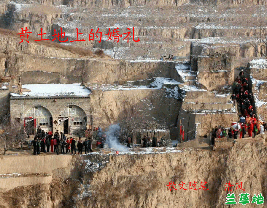 ϵĻ  ɢ 095008zgoqviytii8fqnib