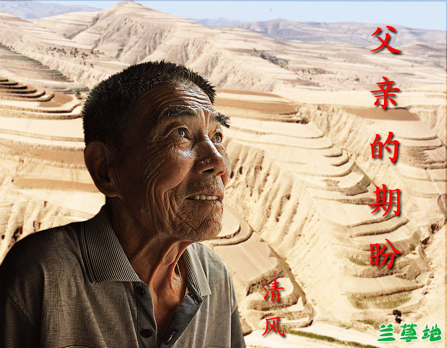 ׵ , ɢ 085918gb4508dlb8h800g5