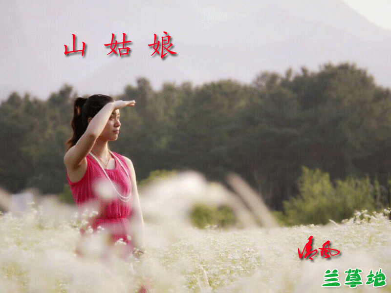 ɽ  ɢ 082411zrhazai9akaz958h