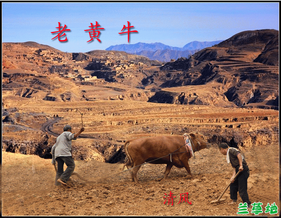 ϻţ ϻţ ɢ 162110vc0a2a6fohcz266t